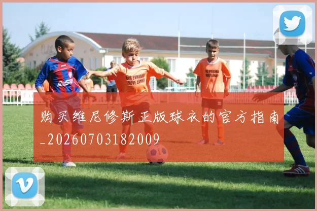 购买维尼修斯正版球衣的官方指南_20260703182009